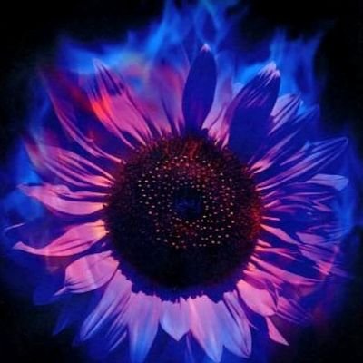 error40i4's profile picture. 🇵🇱
O sobie samym tyle.