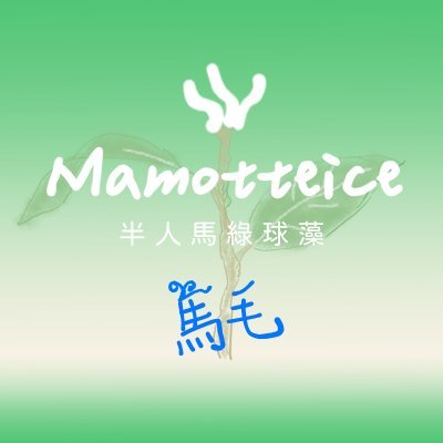 馬毛さんのプロフィール画像