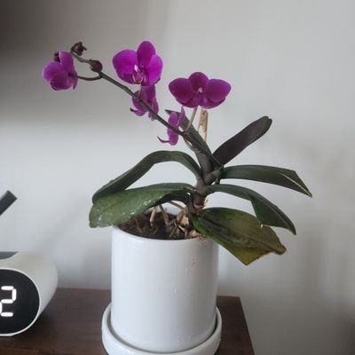 pinsu05748385's profile picture. 대박