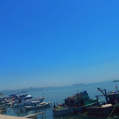 SarbastHadi's profile picture. 