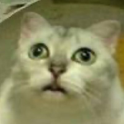 ゆずりはさんのプロフィール画像