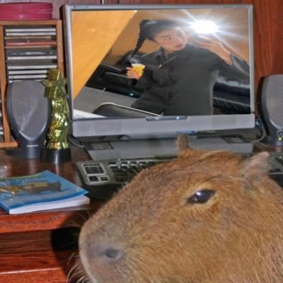 sogummbee's profile picture. 