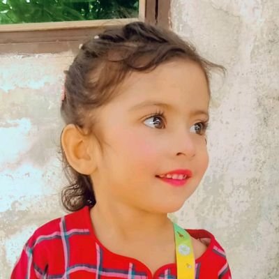 AmjadAli135234's profile picture. 