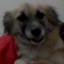 Deneeeeeさんのプロフィール画像