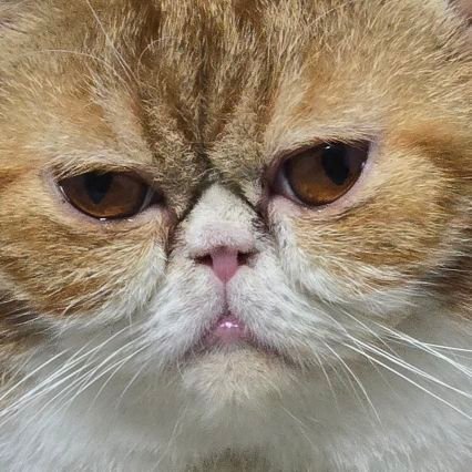 10kmandy's profile picture. 