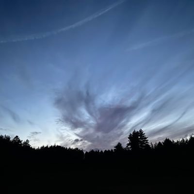 Crypt0M0le's profile picture. 