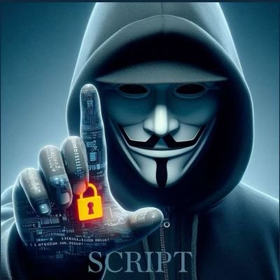 HackerR95203's profile picture. 