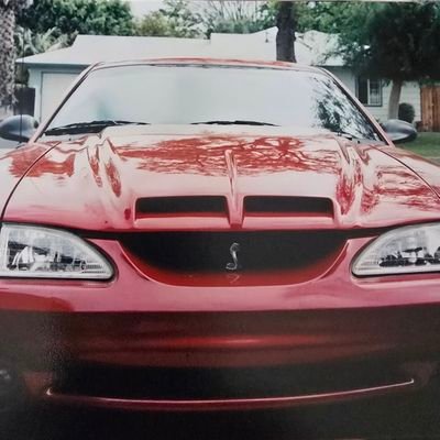 Motorcycle enthusiast, 2nd A, gun enthusiast, animal lover🐕, amateur 📸 Back the Blue, and love to cook. No fuckin crypto, or investing bullshit! 🚫 🏍️🏎️📸