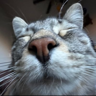 Slayedge's profile picture. waitimgoated