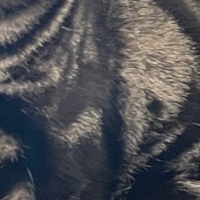 hwest26256600's profile picture. #ヲタ垢