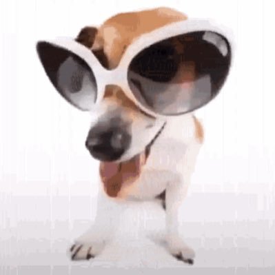 ShimmyTizm's profile picture. Chilling or whatever its called