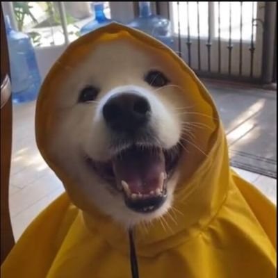 hashhunter8's profile picture. 