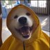 Vokto (@hashhunter8) Twitter profile photo Vokto (@hashhunter8) Twitter profile photo