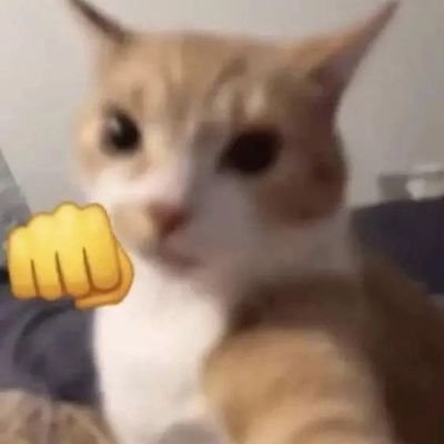 OrtizS855's profile picture. no se aa

solo te saludo y ya está 😔 no sé qué decir aa

sígueme en Instagram si quieres