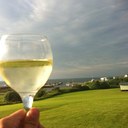 Michelle Barbour - @micdrew - Twitter