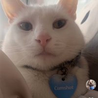 brominetm (@brominetm) 's Twitter Profile