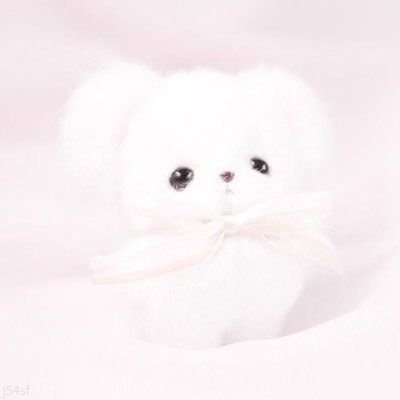 裏垢男子さんからもぉ! ⸝⸝- ̫ -⸝⸝ ↦ https://t.co/F7fNS3g72o