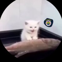 mert19077#aliiiiiiistifaaaaaa (@mrt190715) 's Twitter Profile Photo mert19077#aliiiiiiistifaaaaaa (@mrt190715) 's Twitter Profile Photo