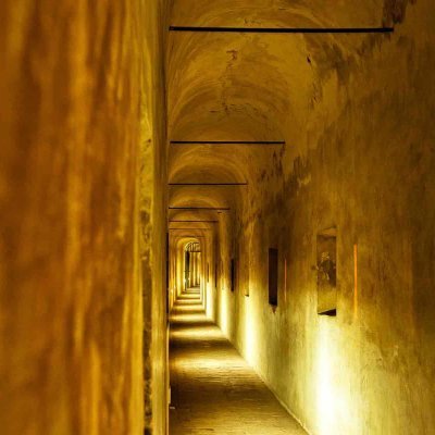 adsgfjadshflk's profile picture. x