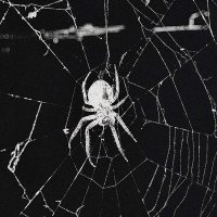 ππ―ππ π₯π«π’ | π«π°π£π΄π±π΄π± (@entwinewithme) 's Twitter Profile