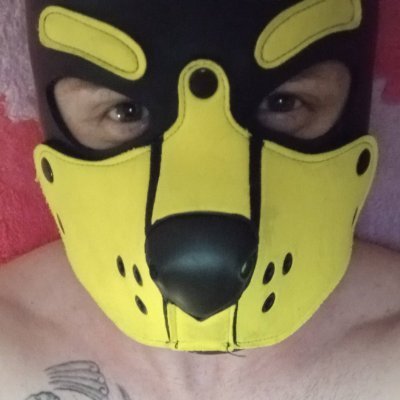 Just a babyfur/pup that cant keep my bladder and needs uppies :P SFW account @RingoVoid