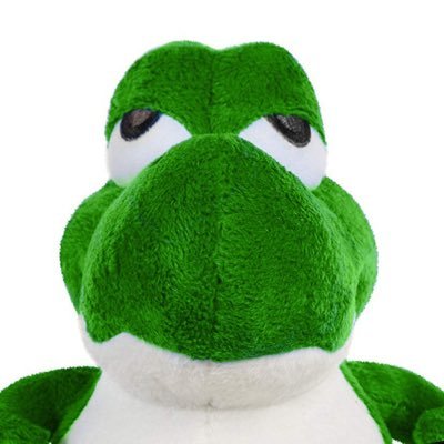 Yoshi Profile