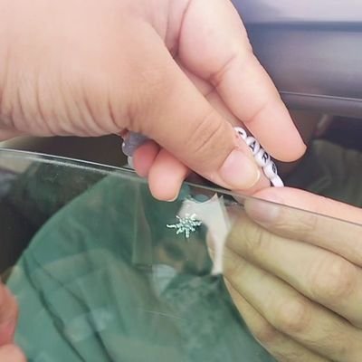 dzriddhi's profile picture. maybe someday, we find each other         @DarshanRavalDZ 💙🫂
Fan account, not impersonating anyone 💙