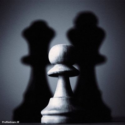دکترای روابط بین الملل، دانشگاه علامه طباطبایی،پژوهشگر و علاقه مند به مسائل چین و آسیا