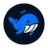 BLUE Protocol avatar