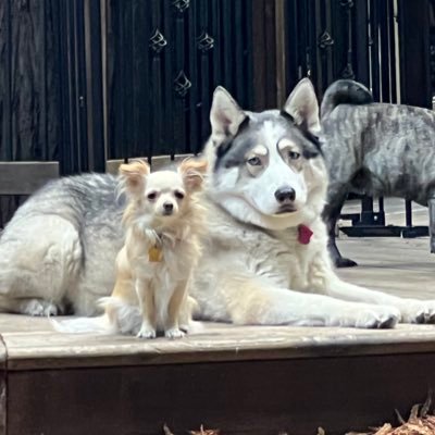 rd9xd5qvpz's profile picture. 