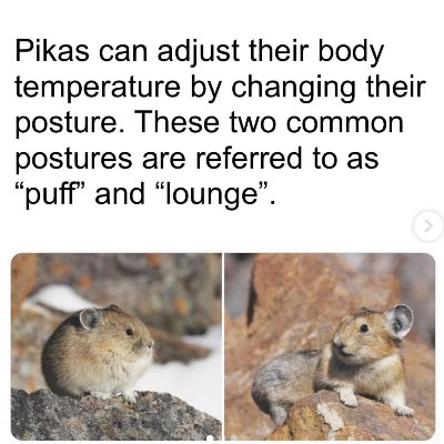 archiejtweets's profile picture. 