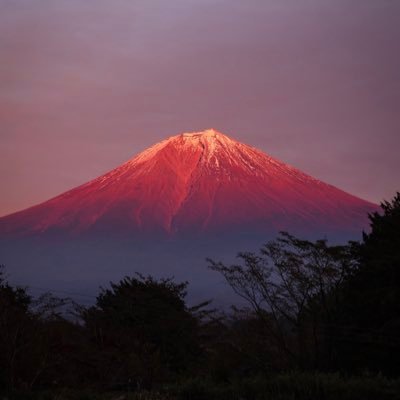 jtmsg5's profile picture. 無言フォロー失礼します🙇‍♀️