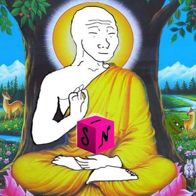 vices0xsol's profile picture. Founder @sinboxfun
No morals, no VCs, no apologies.