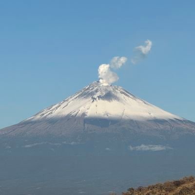 erickolivares's profile picture. 