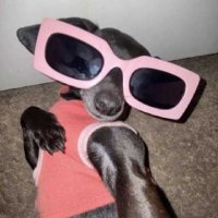 toia (@victorianc_) 's Twitter Profile