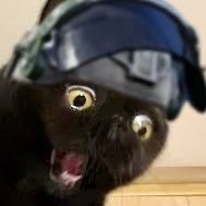 areee49's profile picture. 前垢@areee45