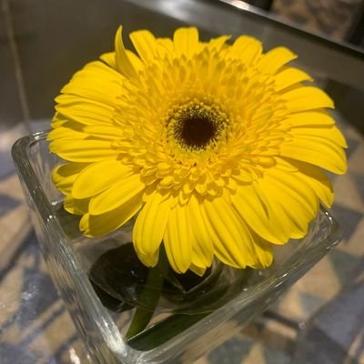 ajlabur's profile picture. Just for fun~ 🇲🇾