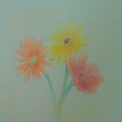 piyikさんのプロフィール画像