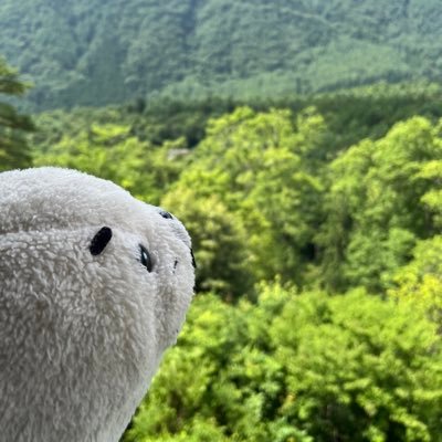 salome_frippers's profile picture. 好きな物˚✧₊⁎音楽・本・料理・レトロ・ぬいぐるみ・建物・街の不思議・調整池・暗渠
