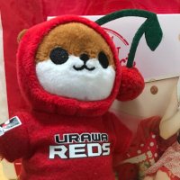 さいぶー氏 (@sabuu3131) 's Twitter Profile Photo