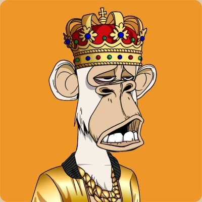 kotorobout56911's profile picture. • Digital Marketernn• Digitalisation Trainer nn• Crypto Investornn• Techienn• Hiker