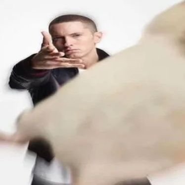 PackageMgr's profile picture. DO NOT SUBSCRIBE ME.