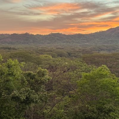 Danielrchin's profile picture. 