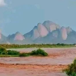 AliHassaballa3's profile picture. Im soical surveyor.from sudan . Reading people life practices my  interest.