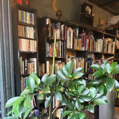 いらっしゃいませ。
ここは寂れた心の休憩所。
貴方の日常のそばに。