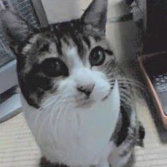 Jin_Masuda Profile