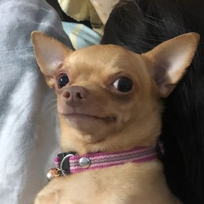 jst6917's profile picture. ไม่ได้อยู่ใน Star wars แต่ขอชื่อ เจได