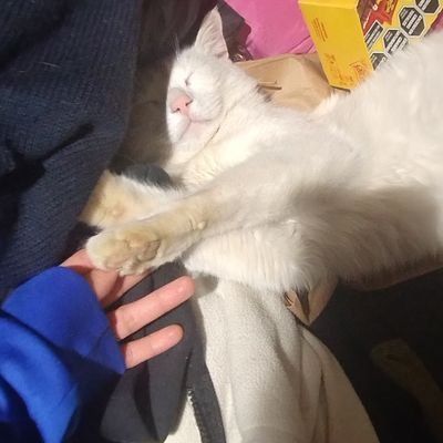 CaucaEmi's profile picture. 🤍✨