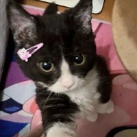 ๐ณ๐๐๐'๐ ๐๐๐ ๐๐๐๐๐๐๐ ๐
๐ (@lily__store) 's Twitter Profile