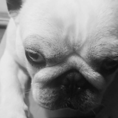 MasterCheeton's profile picture. ここまで来てくれてありがとうございます。 新しい事始めたいですね。※しかし、変なコメントの（文脈理解できてない・ちょっと何言ってるかわからない・要説明な・丁寧語使えない）方はブロックするのでごめんなさいね。※推しの党とかは無いので悪しからず。国益最短距離です。※本当は資産運用の為のアカウントでしたが其方は工事中です。